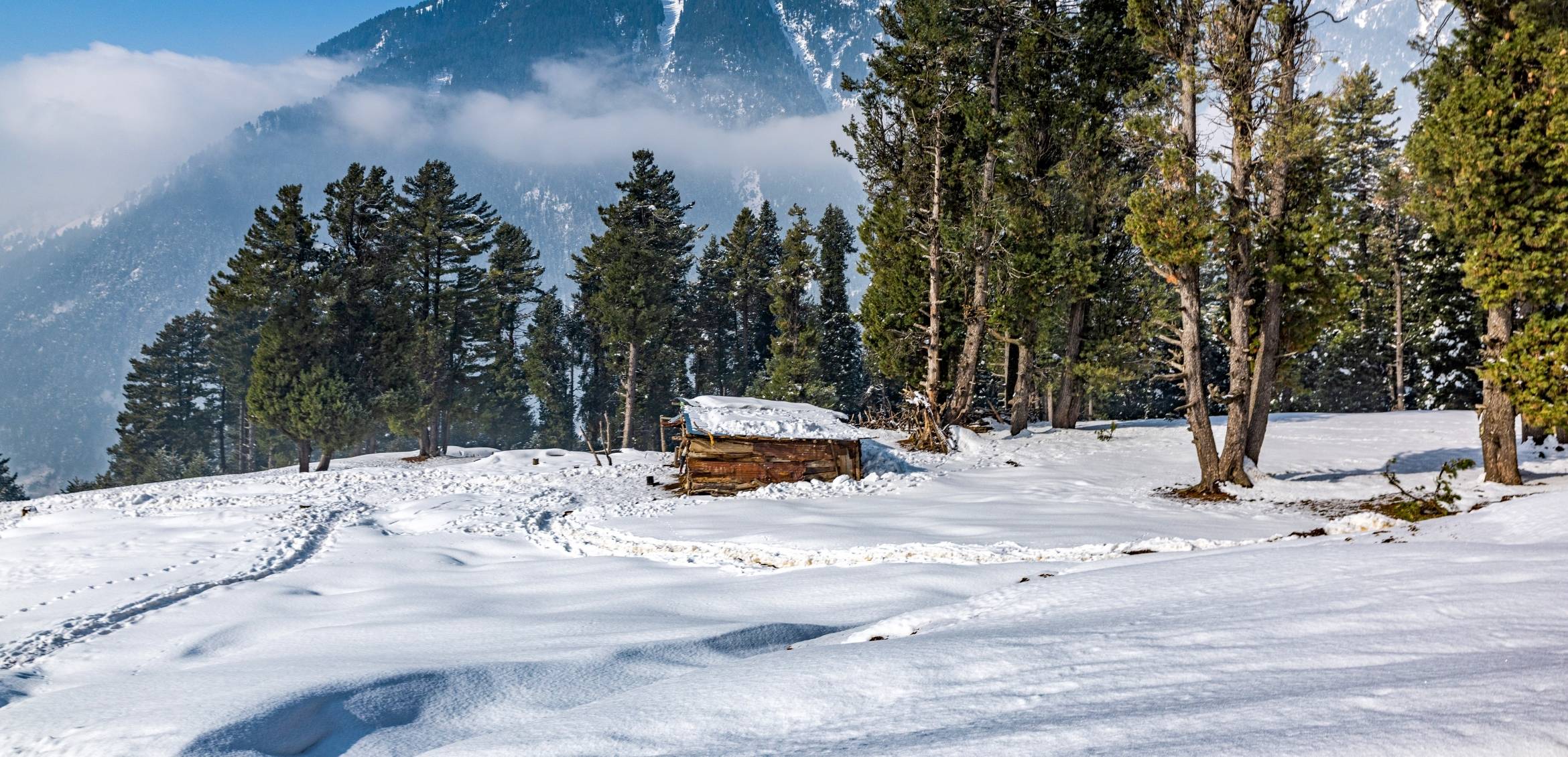 North India