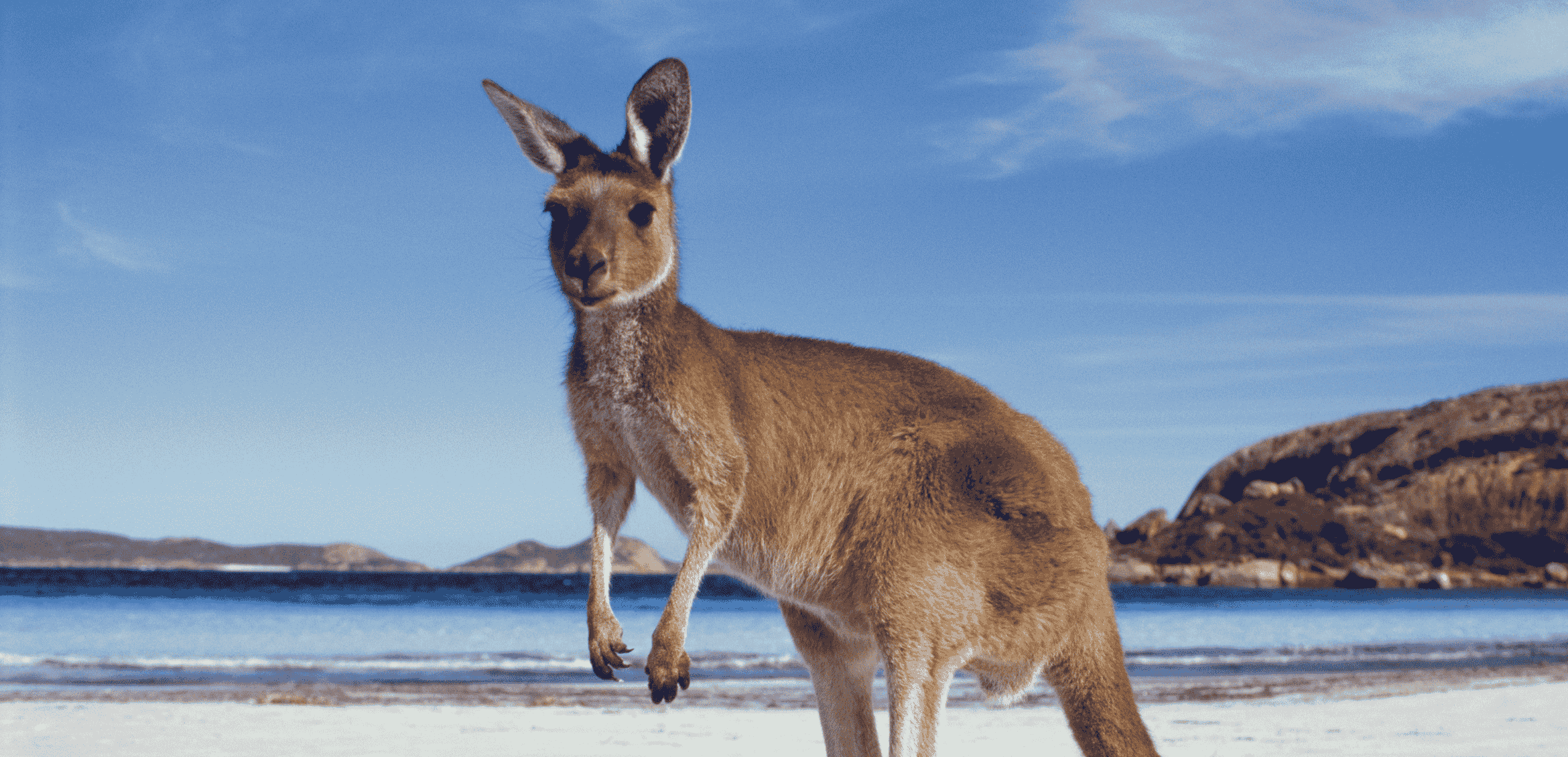 Australia & New Zealand