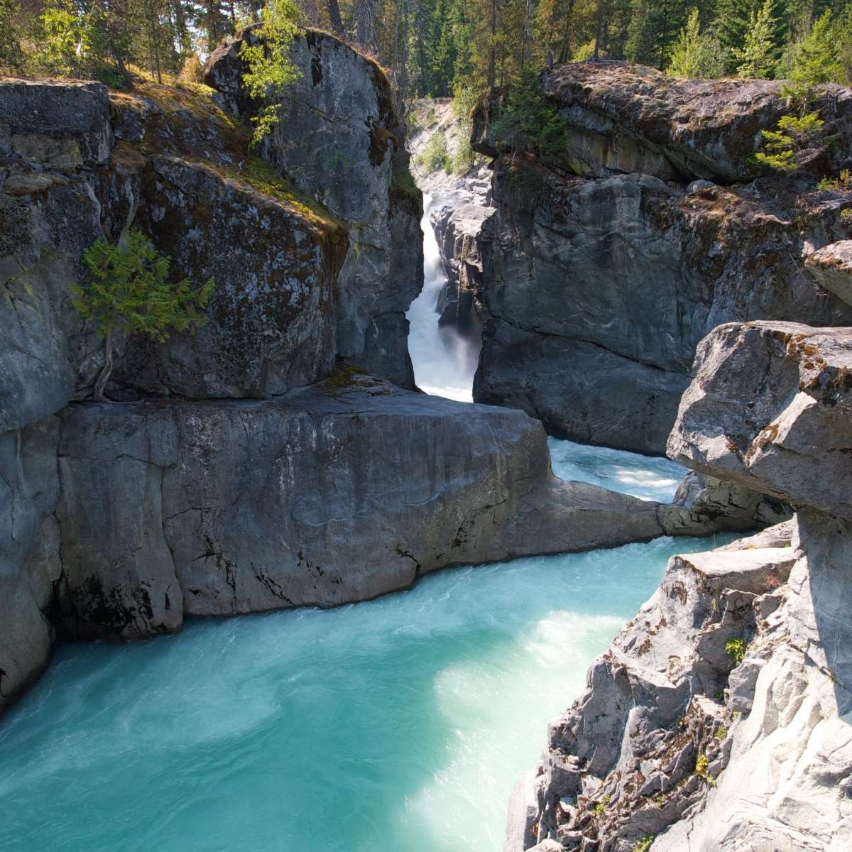 3 Days Nainital tour package