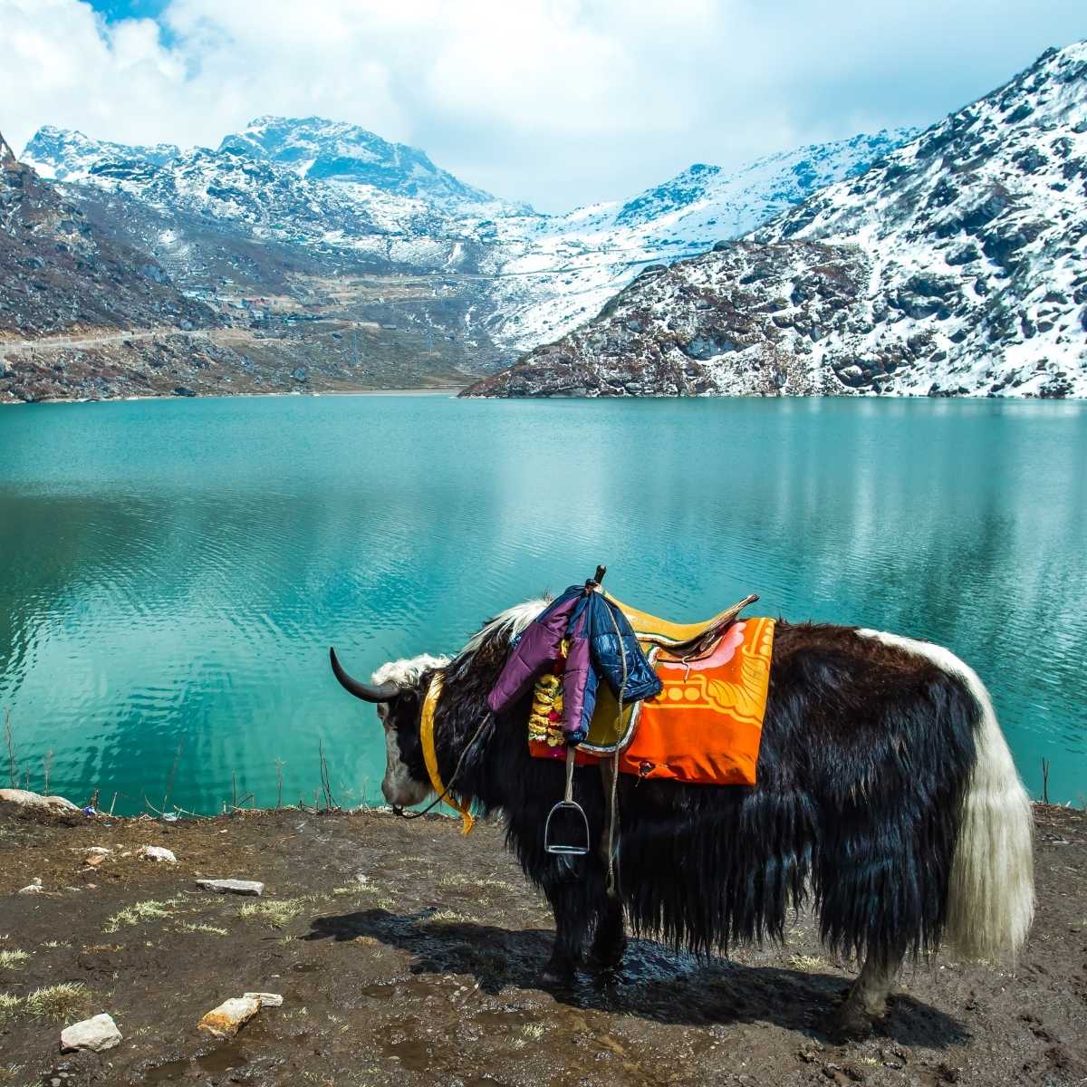 6 Days Sikkim Tour Package