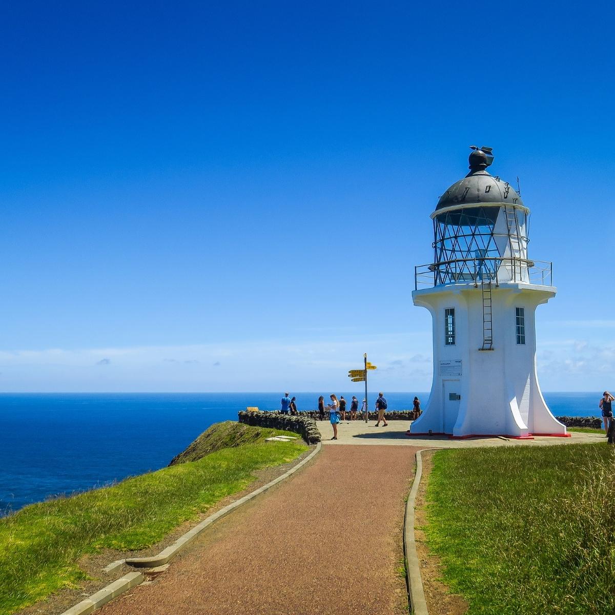 10 days new zealand tour package