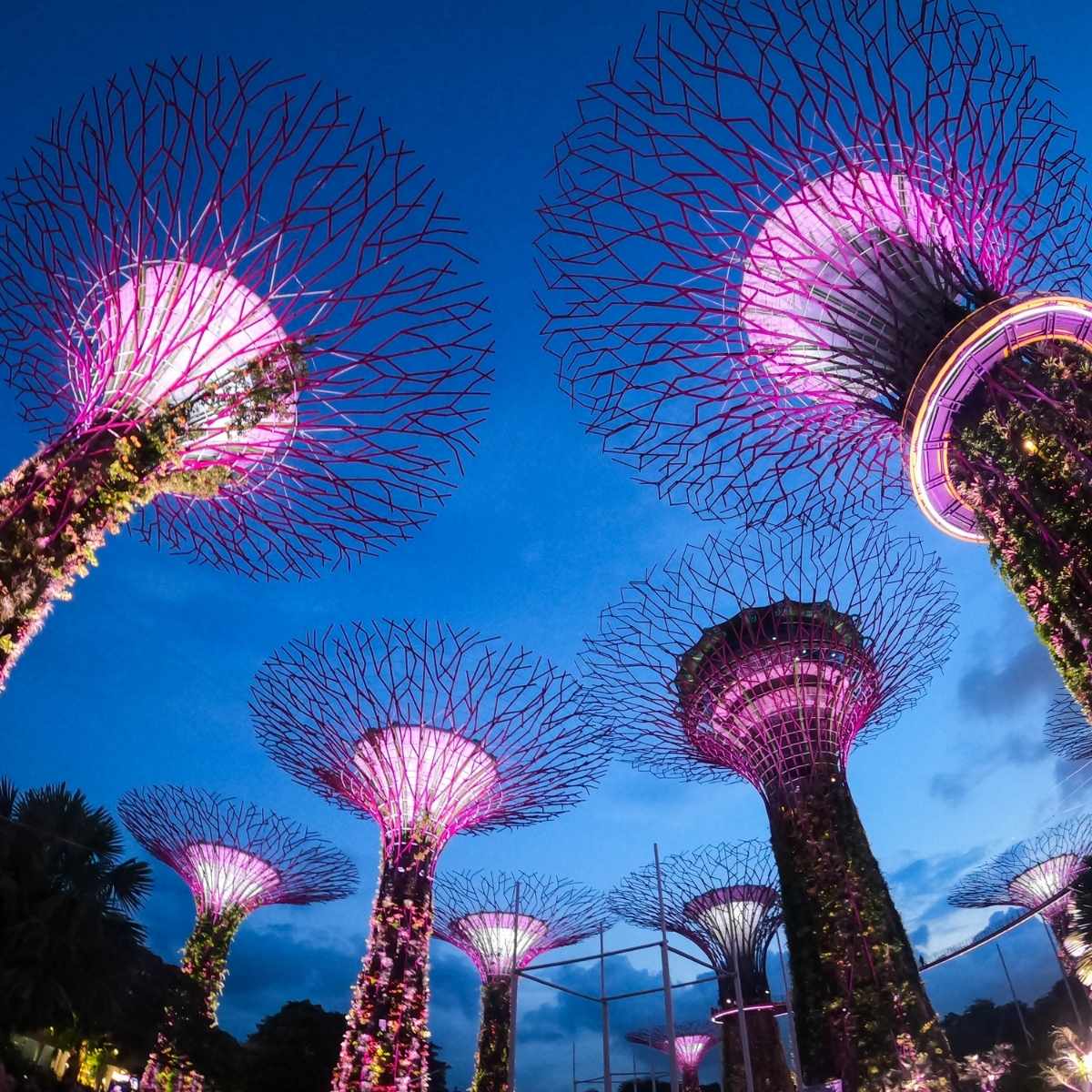 Singapore 5 Days / 4 Nights